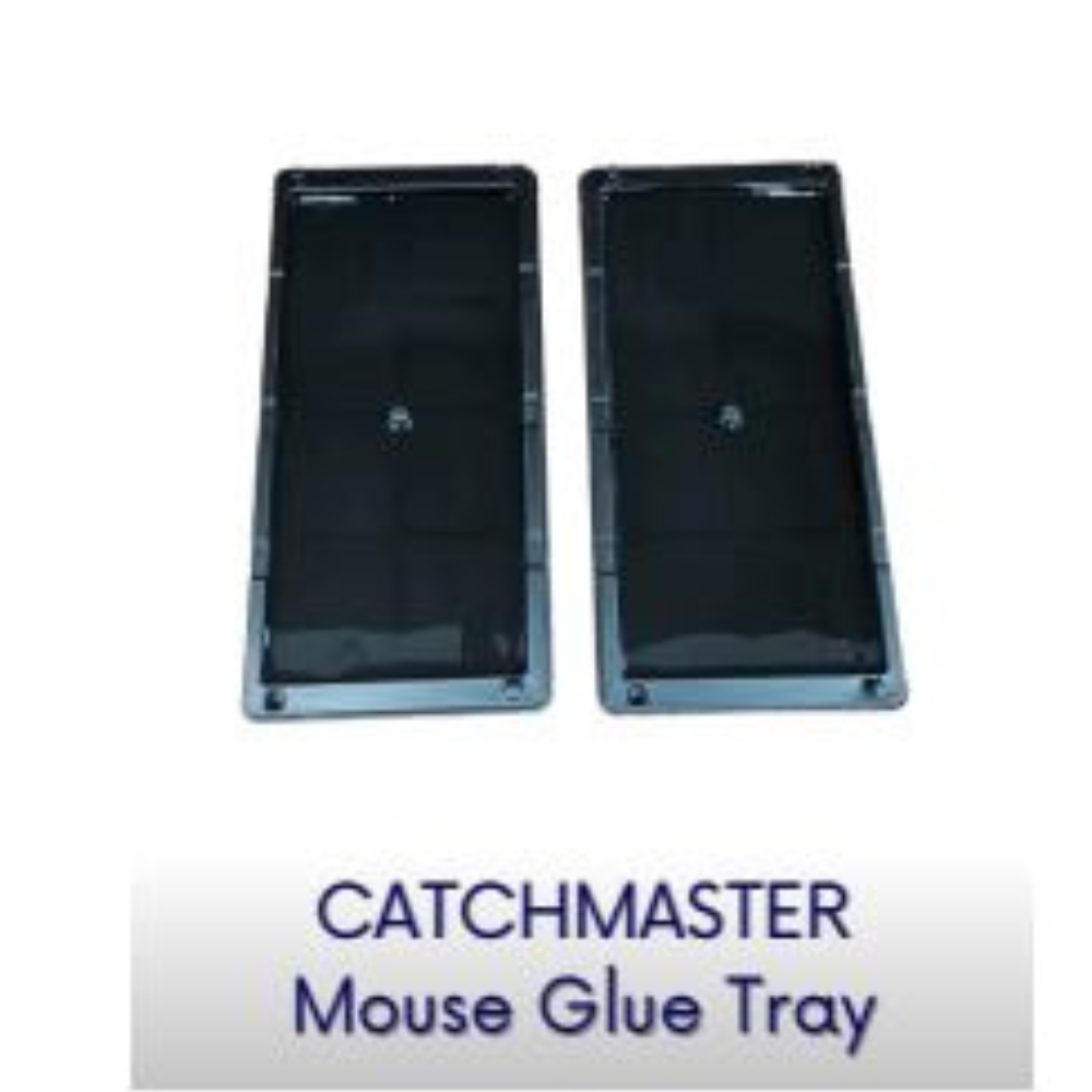 Catchmaster-Mouse-Glue-Tray