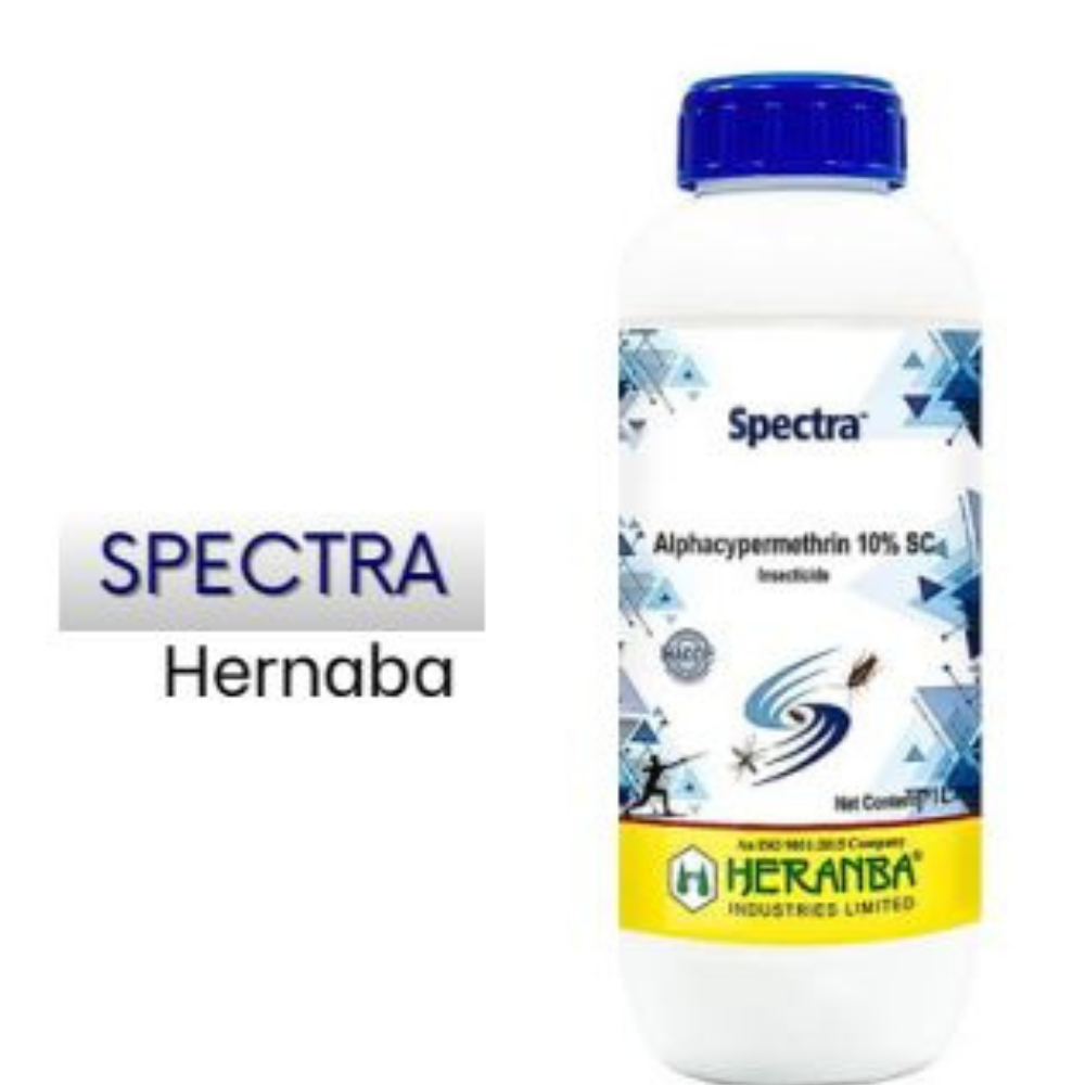 Spectra – Heranba